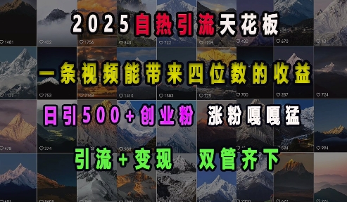 2025自热引流天花板，一条视频能带来四位数的收益，引流+变现双管齐下，日引500+创业粉，涨粉嘎嘎猛_超次元库