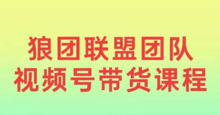 狼团联盟2024视频号带货，0基础小白快速入局视频号_超次元库