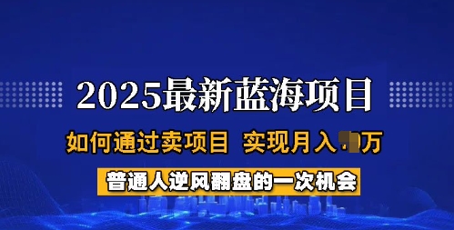 2025蓝海项目，普通人如何通过卖项目，实现月入过W，全过程【揭秘】_超次元库