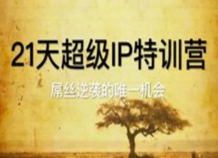 21天超级IP特训营，屌丝逆袭的唯一机会_超次元库