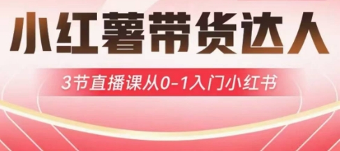 小红薯达人带货启航计划，3节直播课从0-1入门小红书_超次元库