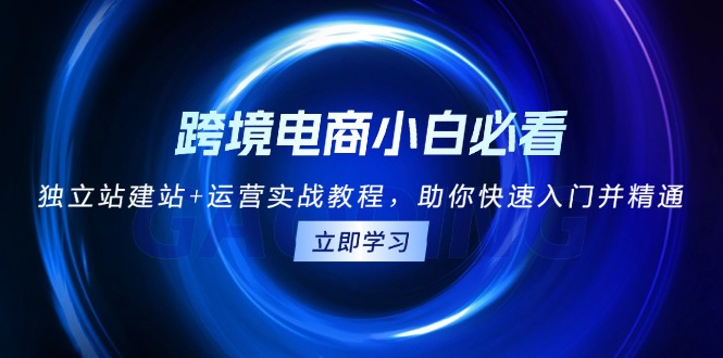 跨境电商小白必看！独立站建站+运营实战教程，助你快速入门并精通_超次元库