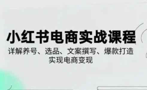 小红书从0-1实操课(2023-2025)，详解养号、选品、文案撰写、爆款打造实现电商变现_超次元库