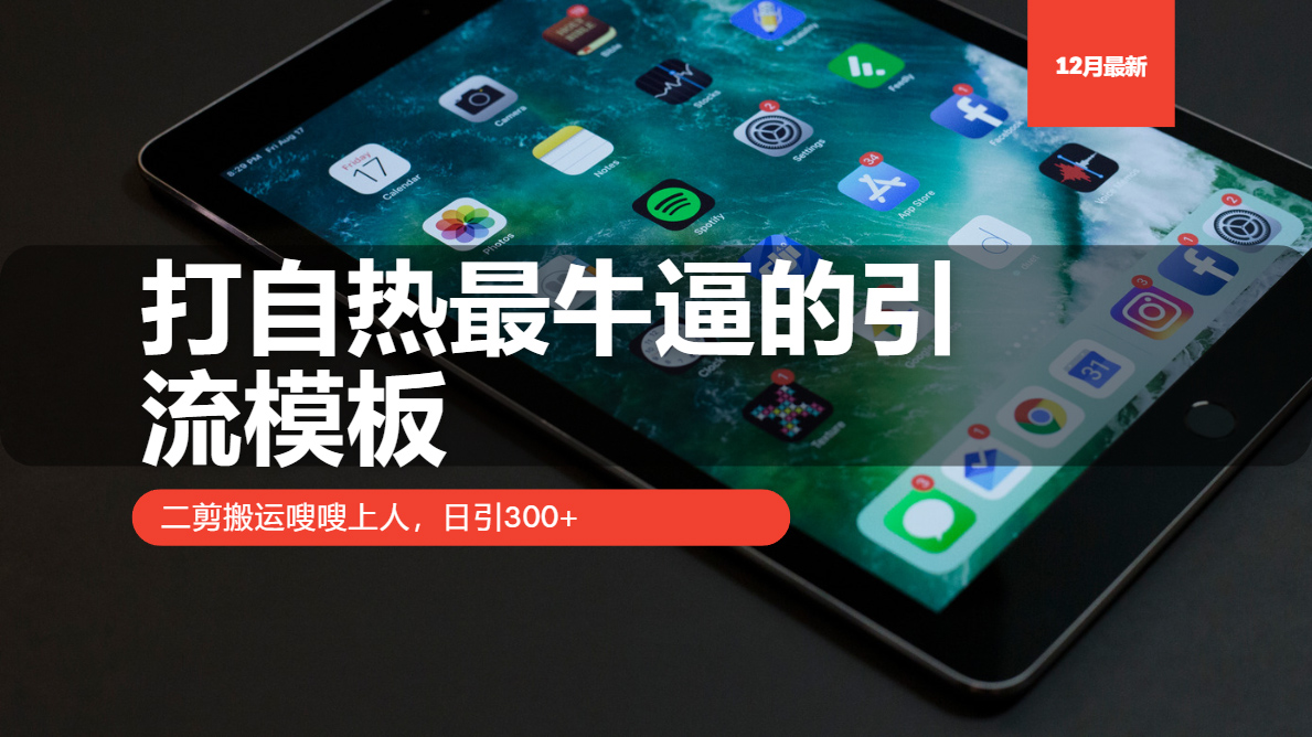 打自热最牛逼的引流模板，二剪搬运嗖嗖上人，日引300+_超次元库