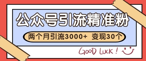 公众号精准粉引流玩法，2个月3000+精准粉，变现30个W【揭秘】_超次元库