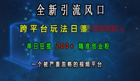全新引流风口，跨平台玩法日入上k，单日狂揽200+精准创业粉，一个被严重忽略的视频平台_超次元库