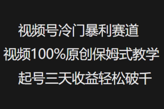 视频号冷门暴利赛道视频100%原创保姆式教学起号三天收益轻松破千_超次元库