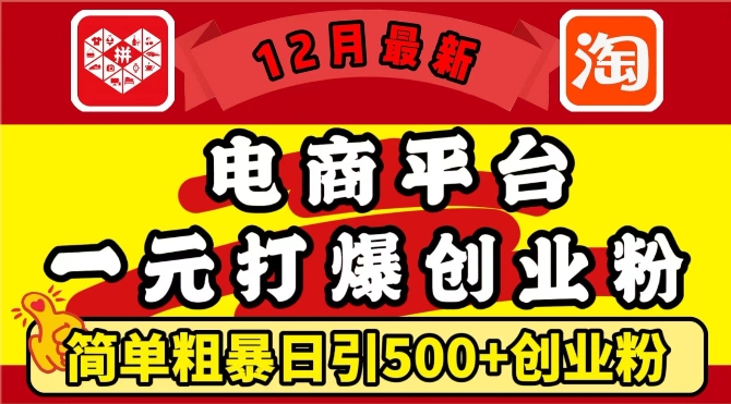 12月最新：电商平台1元打爆创业粉，简单粗暴日引500+精准创业粉，轻松月入过W【揭秘】_超次元库