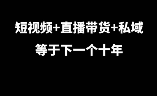 短视频+直播带货+私域等于下一个十年，大佬7年实战经验总结_超次元库