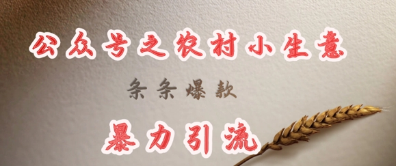 deepseek写农村小项目，条条爆款，暴力引流_超次元库