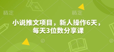 小说推文项目，新人操作6天，每天3位数分享课_超次元库