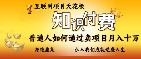 互联网项目天花板，知付付费项目，普通人如何通过卖项目月入十个，拒绝韭菜【揭秘】_超次元库