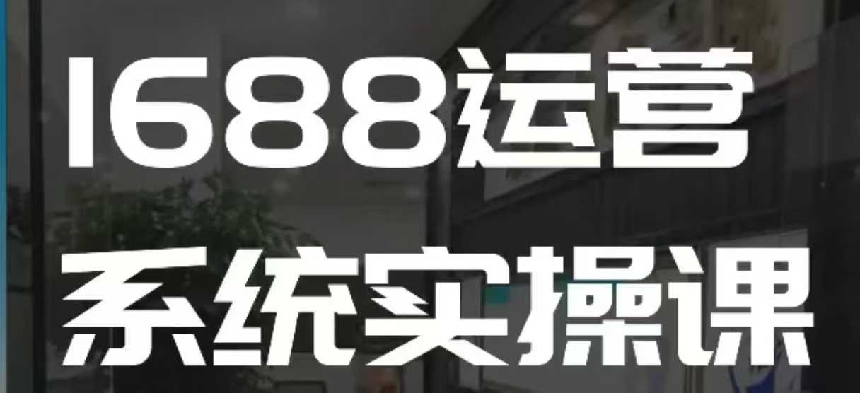 1688高阶运营系统实操课，快速掌握1688店铺运营的核心玩法_超次元库