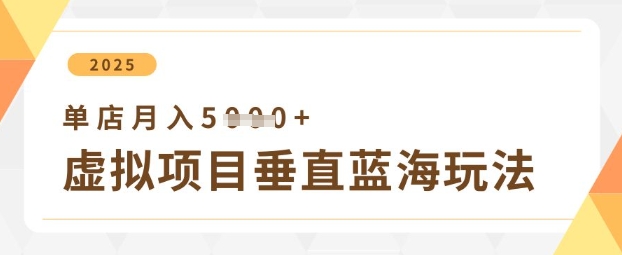 虚拟项目垂直玩法，实现单店月入5k+_超次元库