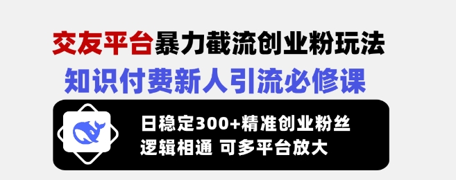 交友平台暴力截流创业粉玩法，知识付费新人引流必修课，日稳定300+精准创业粉丝，逻辑相通可多平台放大_超次元库