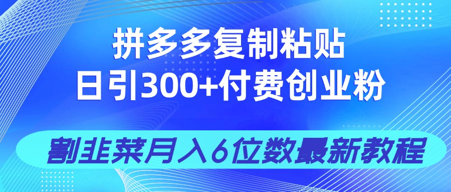 拼多多复制粘贴日引300+付费创业粉，割韭菜月入6位数最新教程！_超次元库