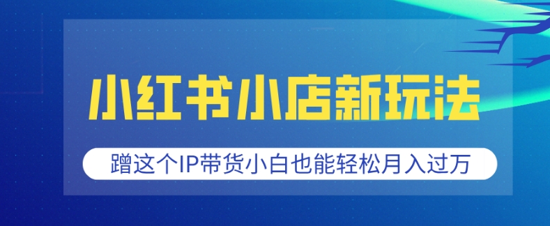 小红书小店新玩法，蹭这个IP带货，小白也能轻松月入过W【揭秘】_超次元库