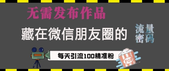 藏在微信朋友圈的流量密码，无需发布作品，单日引流100+精准创业粉【揭秘】_超次元库