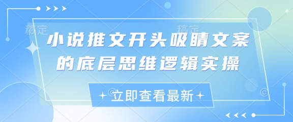 小说推文开头吸睛文案的底层思维逻辑实操_超次元库