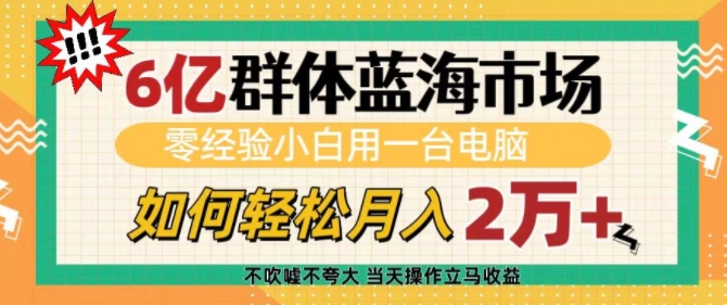 6亿群体蓝海市场，零经验小白用一台电脑，如何轻松月入过w【揭秘】_超次元库