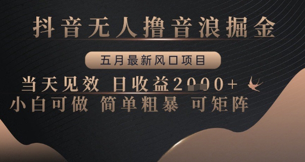 抖音无人撸音浪掘金，五月最新风口项目，当天见效，日收益多张，小白可做简单粗暴可矩阵【揭秘】_超次元库