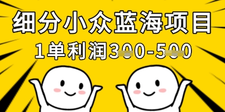 细分小众蓝海项目，一单利润3张，每月收入稳定过1w+_超次元库