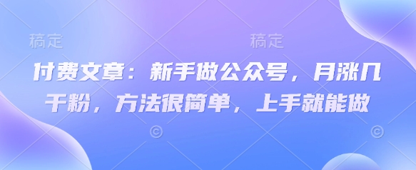 付费文章：新手做公众号，月涨几干粉，方法很简单，上手就能做_超次元库