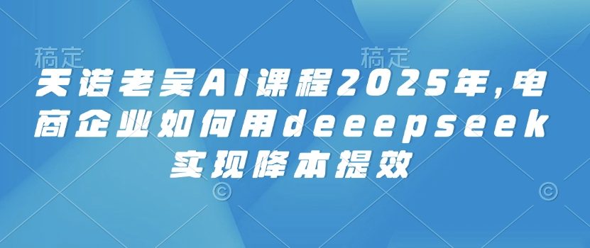 天诺老吴AI课程2025年，电商企业如何用deeepseek实现降本提效_超次元库