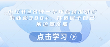 小红书3分钟一条作品精准引流创业粉300+，打造属于自己的流量帝国_超次元库