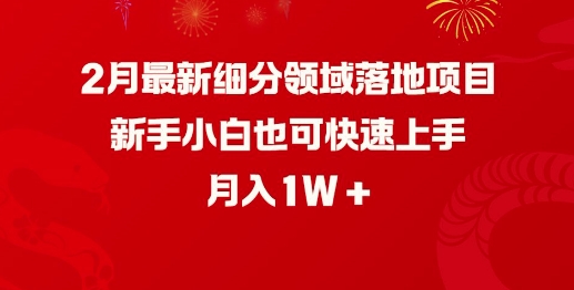 2月最新细分领域落地项目，新手小白也可快速上手，月入1W_超次元库