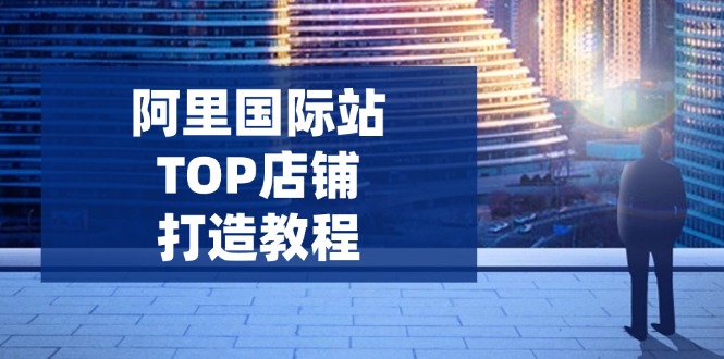 阿里国际站TOP店铺打造教程：涵盖平台到高阶，解决运营难题，提升询盘_超次元库