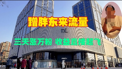 蹭胖东来流量，三天涨万粉，收益直接起飞_超次元库