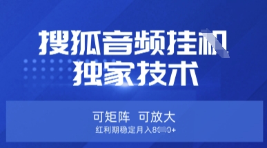 【搜狐音频挂G】独家技术，可矩阵可放大，红利期稳定月入8k【揭秘】_超次元库