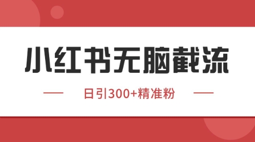 小红书只要你有同行就能获客，独家野路子获客玩法，暴力截流【揭秘】_超次元库