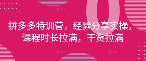拼多多特训营，经验分享实操，课程时长拉满，干货拉满(更新25年4月)_超次元库