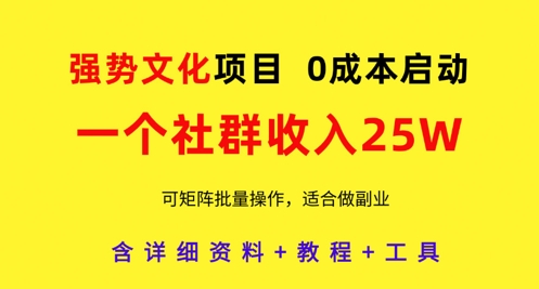 强势文化项目，一个社群收入25个W，0成本启动，可矩阵批量操作，原创详细实操教程_超次元库