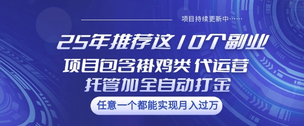 25年推荐这10个副业项目包含褂鸡类、代运营托管类、全自动打金类【揭秘】_超次元库