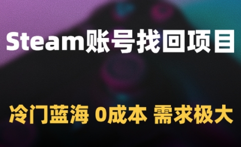 Steam账号找回项目，冷门蓝海，0成本，需求极大_超次元库