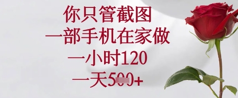 你只管截图，一部手机在家可以做，一小时120.一天5张+【揭秘】_超次元库