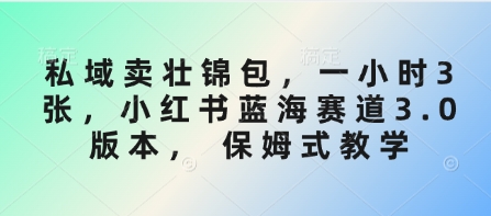 私域卖壮锦包，一小时3张，小红书蓝海赛道3.0版本， 保姆式教学_超次元库