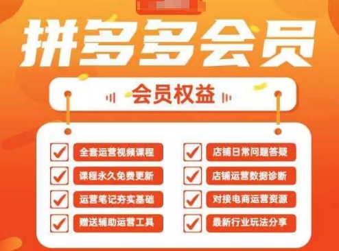 2025拼多多运营实战课，40节全流程教学，覆盖拼多多运营全链路_超次元库