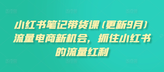 小红书笔记带货课(更新25年3月)流量电商新机会，抓住小红书的流量红利_超次元库