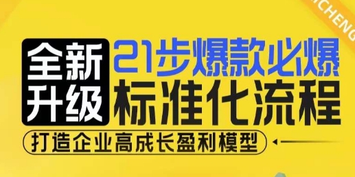 21步爆款必爆标准化流程，全新升级，打造企业高成长盈利模型_超次元库