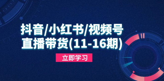 抖音/小红书/视频号/直播带货(11-16期_超次元库