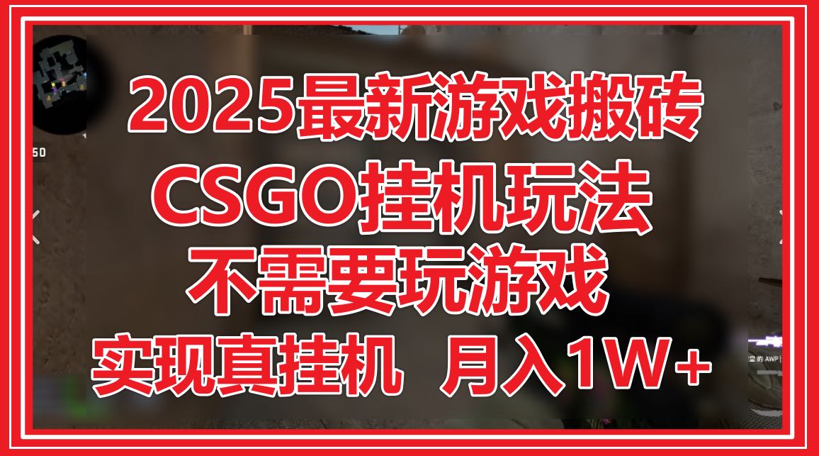 2025最新游戏搬砖，CSGO挂机，不需要玩游戏，实现真挂机，月入1W+_超次元库