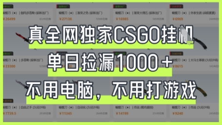 真全网独家CSGO挂G，单日捡漏1k+【揭秘】_超次元库