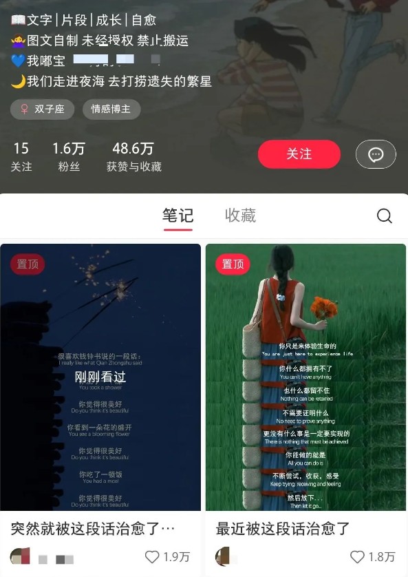 小红书治愈文案图文笔记，零门槛，一分钟制作轻松制作爆款作品月入万元_超次元库