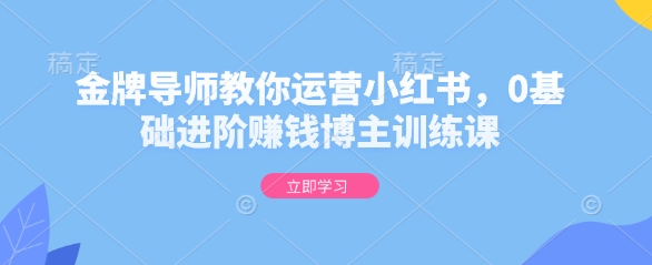 金牌导师教你运营小红书，0基础进阶赚钱博主训练课_超次元库