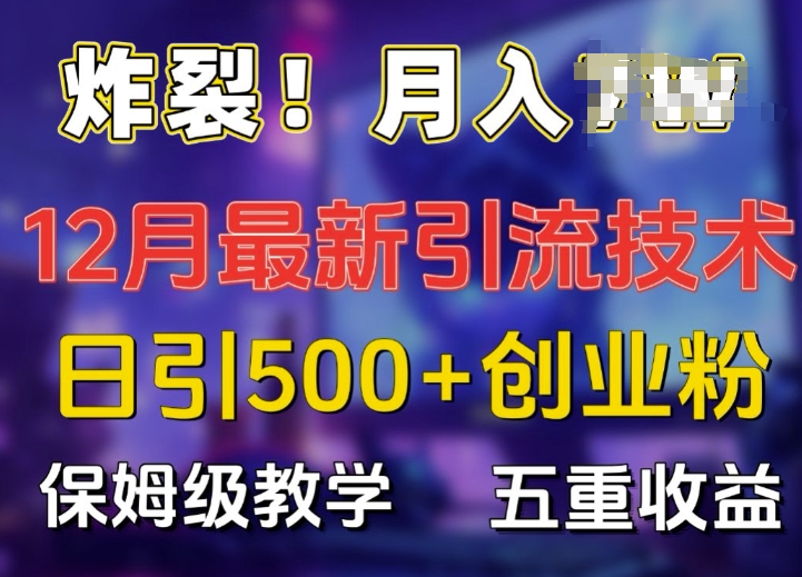 炸裂!揭秘12月最新日引流500+精准创业粉，多重收益保姆级教学_超次元库