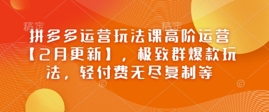 拼多多运营玩法课高阶运营【2月更新】，极致群爆款玩法，轻付费无尽复制等_超次元库